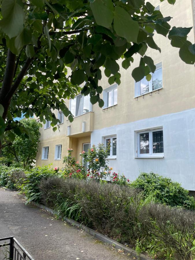 Ego Deluxe Apartment - Central Location Hermannstadt Exterior foto